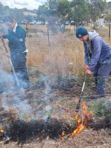 St John's Wort Under Fire